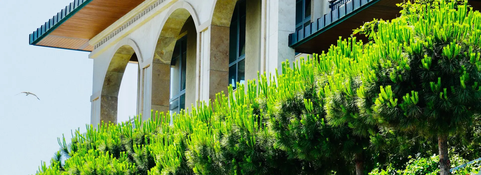 Sarıyer’de bahçeli villa kanalizasyon ve altyapı hizmeti